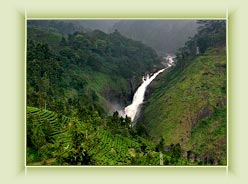 Attukad Falls - Munnar