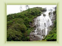 Power House water Falls-Munnar