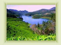 Anayirangal View-Munnar