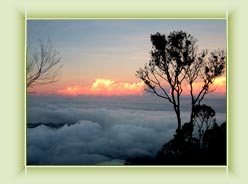 Gap Road View-Munnar