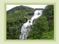 Lakkam water falls - Munnar
