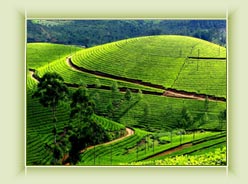 Lock heart view -Munnar