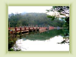 Mattuppetty Dam-Munnar