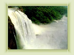 Nayamakad water Falls - Munnar