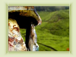 Padavas Cave - Munnar