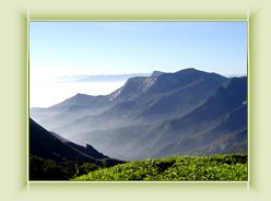 Top Satation View-Munnar